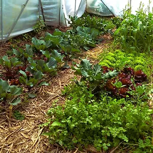  Camping Arambha Ecovillage Farmstay Portugal